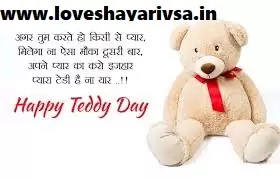 Teddy Day Wishes Shayari in