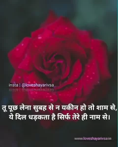 love shayari image in hindi