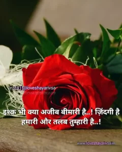 love shayari in hindi for girlfriend with image hd
