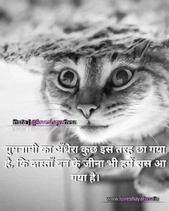 2 line heart touching shayari image