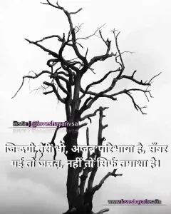 Breakup shayari image for girl