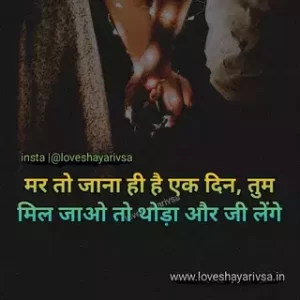 cute love shayari in hindi