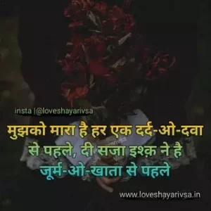 cute love shayari in hindi