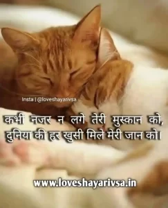 Emotional Shayari In Hindi On Love Image Download